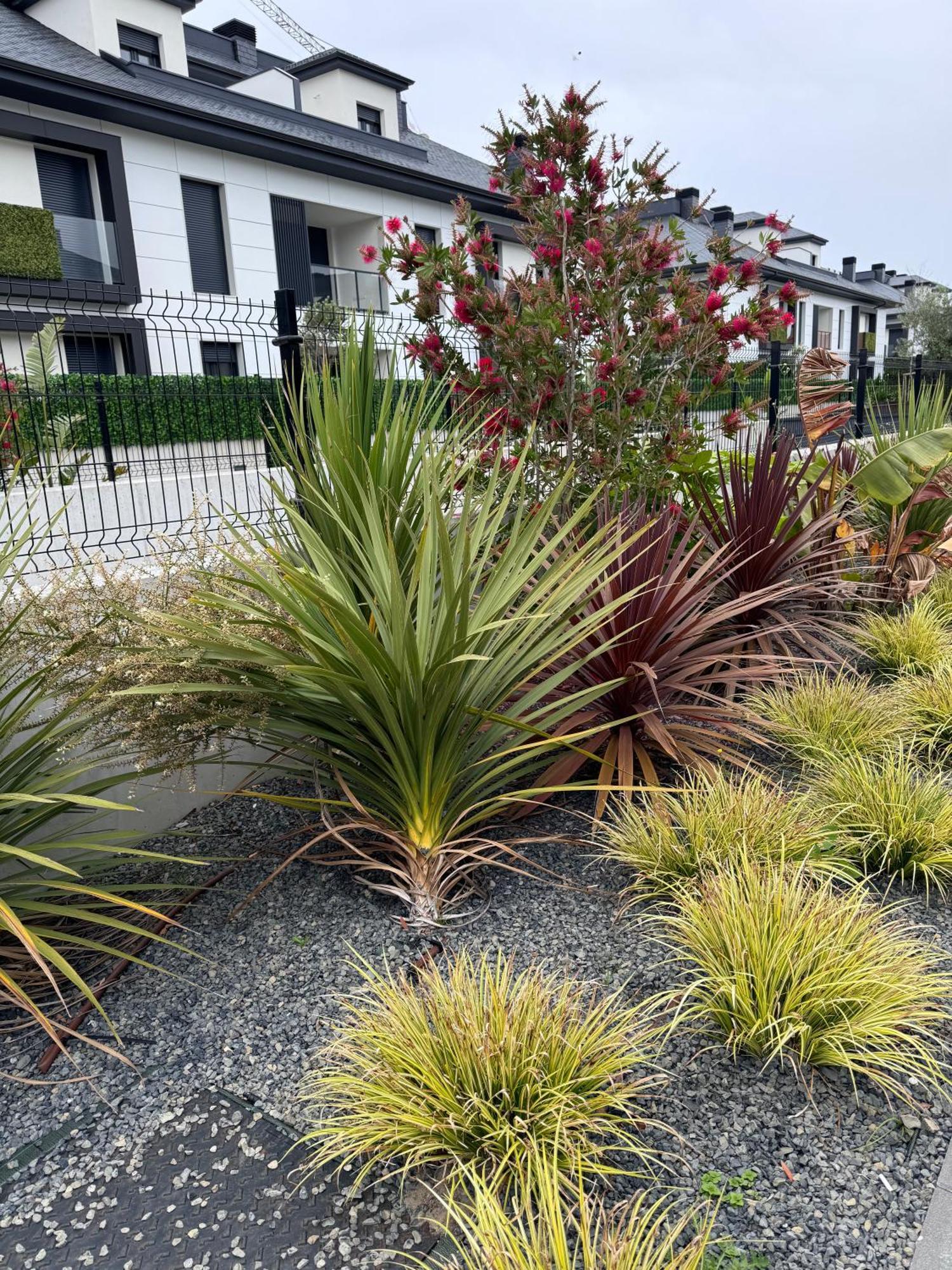 Apartamento Con Jardin Long Beach 洛雷多 外观 照片